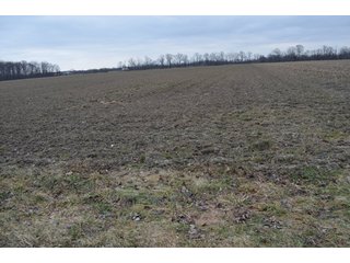 Property photo 53 - 175 Acres Offered in 5 Tracts - Tontogany, Ohio Farm Land Auction